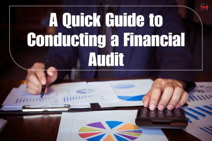 Audit outlines analyzes conduct