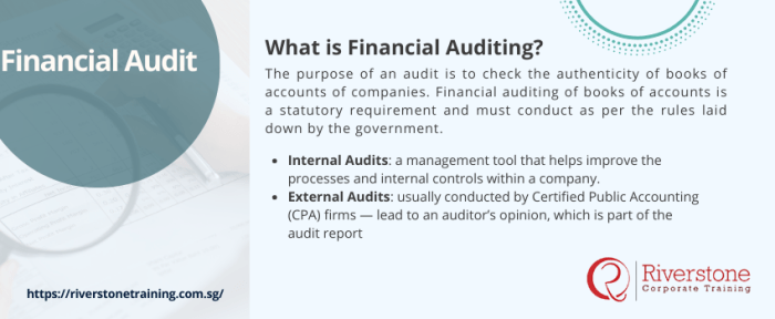 Audit accounting auditor verify